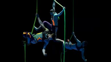 Фото - Министерство культуры Саудовской Аравии и Cirque du Soleil Entertainment Group заключили соглашение