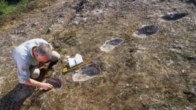 Фото - На склоне итальянского вулкана найдены загадочные следы