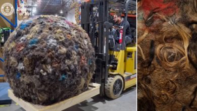 Фото - Парикмахер сделал огромный шар из волос, ставший рекордным