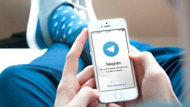 Фото - Подборка ТОП 10 Telegram-каналов — лучший полезный и познавательный контент здесь