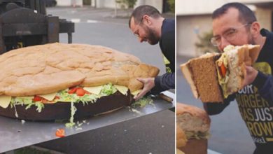 Фото - Рекордный веганский бургер весит более 100 килограммов