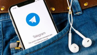Фото - ТОП 10 лучших Telegram каналов, на которых вы проведете время с пользой