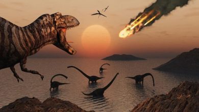Фото - Ученые выяснили в какое время года упал астероид, уничтоживший динозавров
