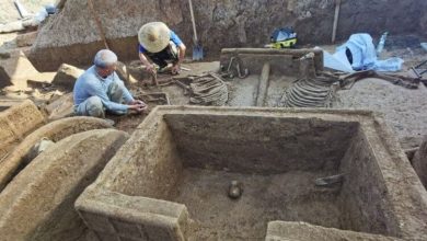 Фото - В Китае обнаружили гробницы воинов, который были похоронены заживо