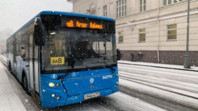 Фото - В Москве ввели бесплатный проезд для второго родителя в многодетной семье