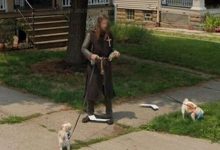 Фото - Во время виртуального путешествия пользователь интернета заметил рыцаря, выгуливающего собак