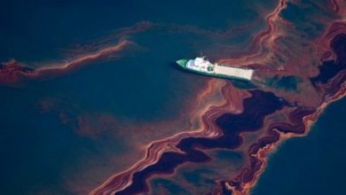 Фото - Как люди и природа пытаются очистить Мексиканский залив от нефтяного загрязнения?
