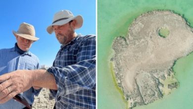 Фото - На Земле найден искусственный остров, созданный 1200 лет назад