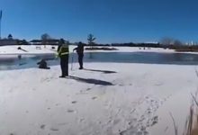 Фото - Попытавшись спасти своих собак из замёрзшего озера, хозяйка и сама провалилась в воду