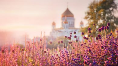 Фото - Ростуризм изменил ряд показателей в стратегии развития туризма