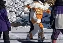 Фото - Сноубордисты, попытавшиеся освоить вращение, не устояли на ногах