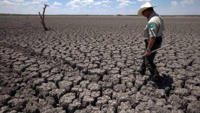Фото - США ожидает засуха, которая может продлится до 2030 года