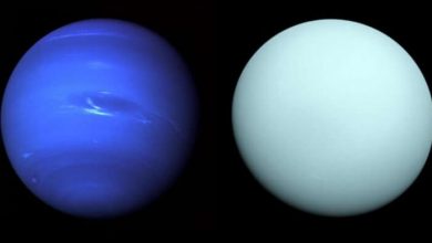 Фото - Ученые объяснили, почему Уран и Нептун окрашены в разные оттенки синего