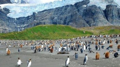 Фото - Возле Антарктиды нашли источник загадочного цунами