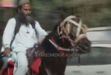 Фото - Чтобы не тратиться на бензин, мужчина пересел из автомобиля на лошадь