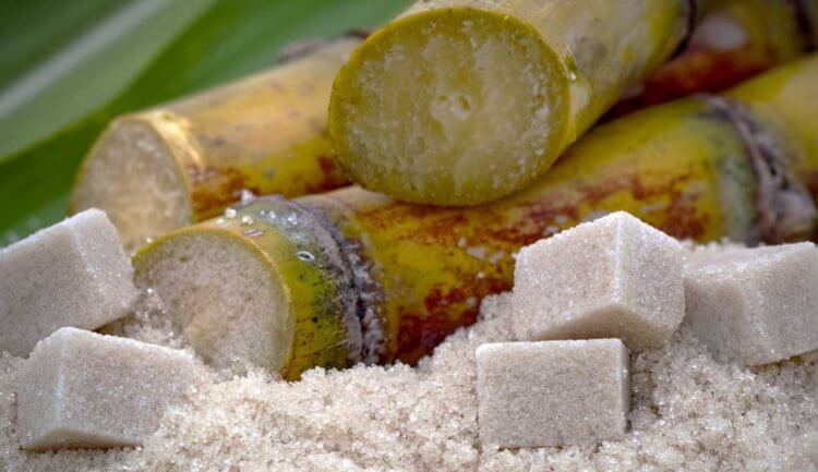 Как производится сахар и может ли возникнуть его дефицит?