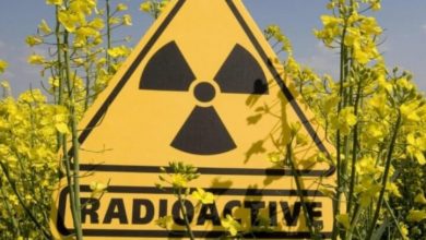 Фото - Какой бывает радиация и как от нее защититься?