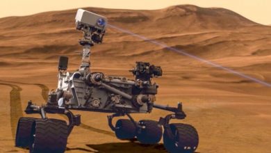 Фото - Марсоход Curiosity показал фотографии марсианской «секс-игрушки» и «каменного цветка»