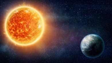 Фото - На Солнце обнаружено огромное пятно размером с Землю