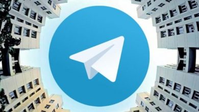 Фото - Подборка лучших Telegram-каналов — ТОП 10 самых увлекательных пабликов
