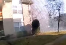 Фото - Полицейские поймали мальчика, которого отец выкинул из окна загоревшегося дома