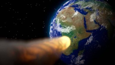 Фото - Правда ли, что в мае 2022 года на Землю упадет огромный астероид?
