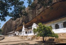 Фото - Шри-Ланка продлила действие туристических виз гражданам РФ и Украины