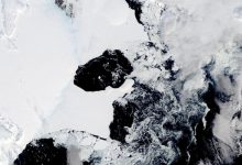 Фото - В Антарктиде обрушился в воду огромный шельфовый ледник — чем это грозит человечеству?
