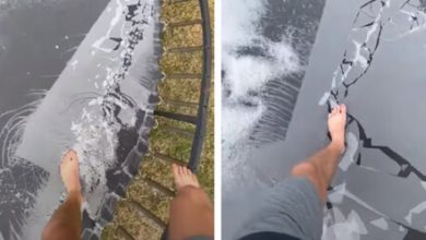 Фото - Видео с прогулкой по замёрзшему батуту заворожило зрителей
