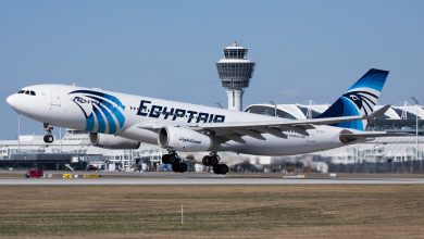 Фото - EgyptAir открывает чартерную программу из аэропорта Домодедово