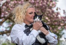 Фото - Хозяйка вышла замуж за любимую кошку, чтобы домовладельцы не выселили животное