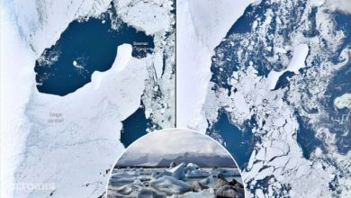 Фото - Ледники Восточной Антарктиды пропадают с лица Земли. Чем это грозит?