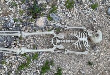 Фото - Найденные человеческие останки оказались пластиковым скелетом