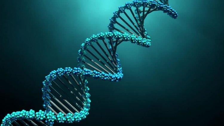 Некоторые люди устойчивы к COVID-19 — ключ к лекарству содержится в ДНК?