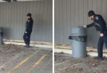 Фото - Полицейские провели «обыск» мусорного бака, чтобы выгнать оттуда енота