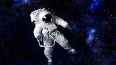 Фото - Самые удивительные рекорды, поставленные людьми в космосе