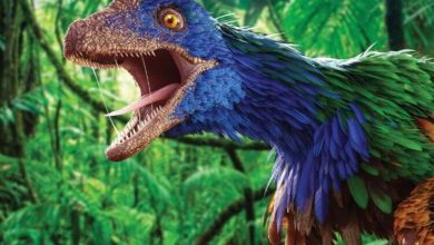 Фото - Ученые выяснили какого цвета были динозавры