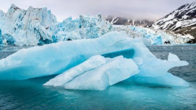 Фото - В Антарктиде разрушаются ледники: как быстро поднимется уровень воды