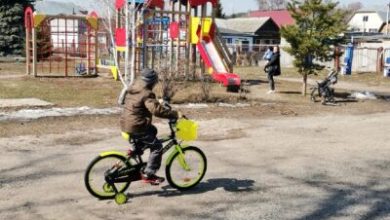 Фото - В Ульяновске территориальное общественное самоуправление открыло бесплатный пункт проката спортивного инвентаря