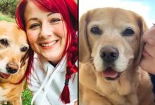 Фото - Хозяйка бросила работу, чтобы заботиться об умирающей собаке и исполнять её желания