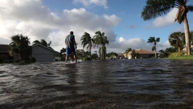 Фото - Какие города окажутся под водой уже в 2050 году?