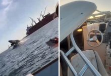 Фото - Кит перевернул лодку и травмировал пассажиров, вывалив их в воду