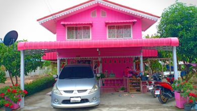 Фото - Молодая женщина выкрасила дом в розовый цвет и окружила себя розовыми аксессуарами