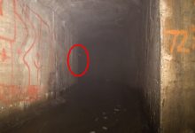 Фото - Путешествуя по подземным тоннелям, очевидец повстречался со странными существами