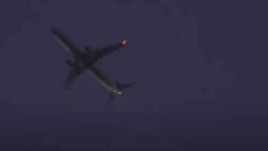 Фото - Светящийся змееподобный НЛО пролетел рядом с самолётом