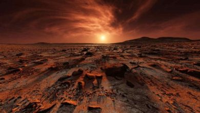 Фото - Почему ученые считают, что в марсианской почве может существовать жизнь