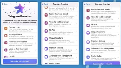 Фото - В Telegram появится платный режим Premium и новые функции
