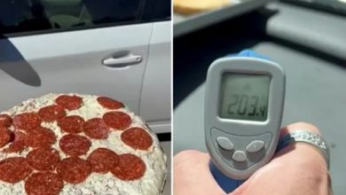 Фото - Жаркая погода позволяет автовладельцу готовить еду и печь десерты в машине