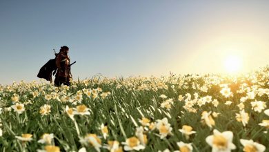 Фото - Авторы Ghost of Tsushima рассказали о достижениях игроков и обновили информацию о продажах