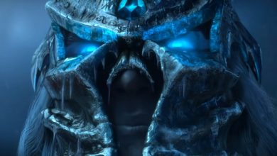 Фото - На сайте Blizzard ненадолго засветилась точная дата выхода Wrath of the Lich King Classic